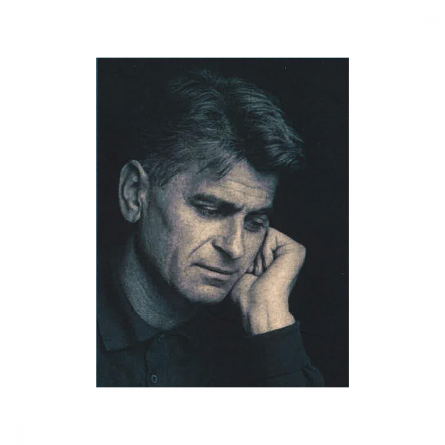 hin_3_meszoly_miklos.png