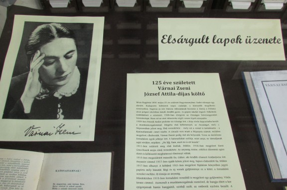 elsargult_2dvarnai_2d03.JPG