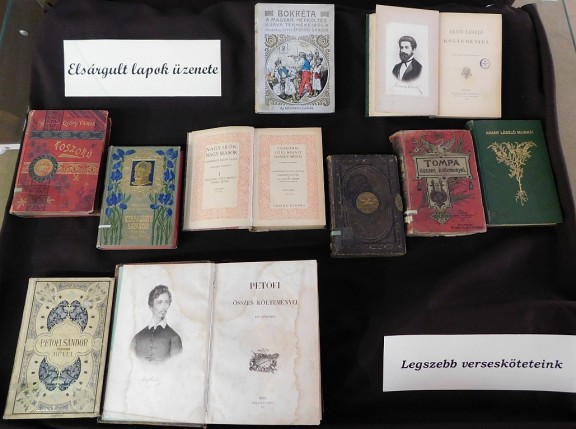 elsargult_lapok_legszebb_verseskote.jpg