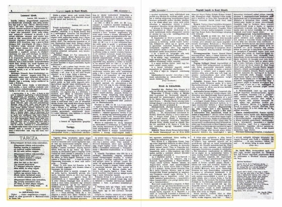 vilagjaro_online_thumb_015.jpg